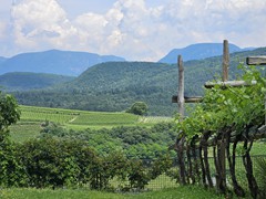 Ausflug Bozen
Herz-Jesu-Fest
Samstag